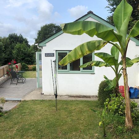 Sycamore Bungalow Villa Perranwell Exterior photo